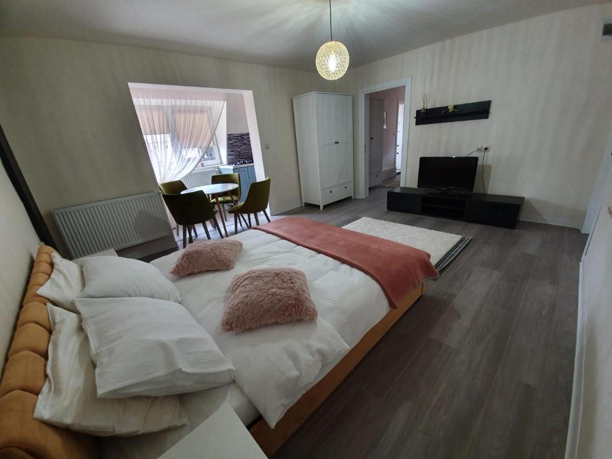 Villa Coca Кимпулунг-Молдовенеск Екстер'єр фото